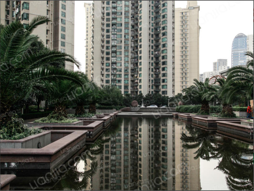 60ff7a2c01a88.png 5.png