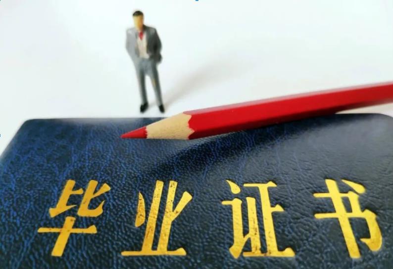 袋鼠安家 袋鼠安家