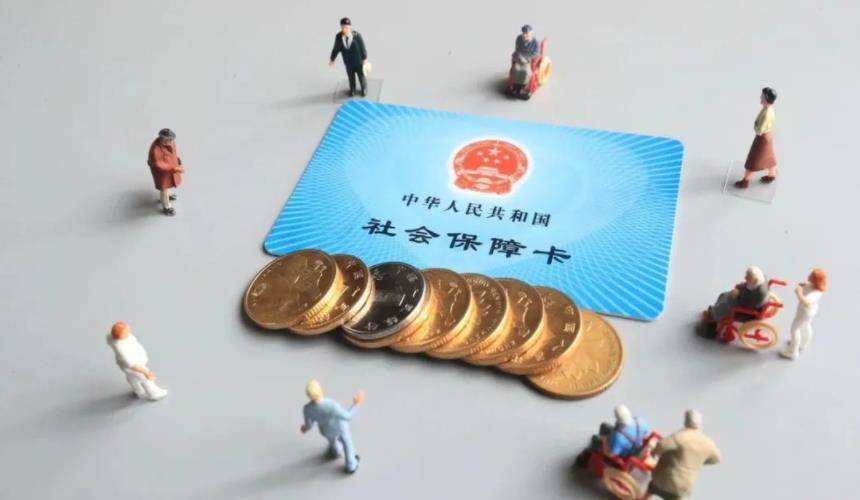 袋鼠安家 袋鼠安家