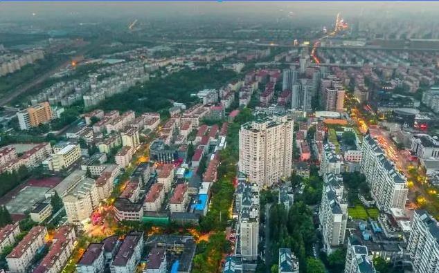 袋鼠安家 袋鼠安家