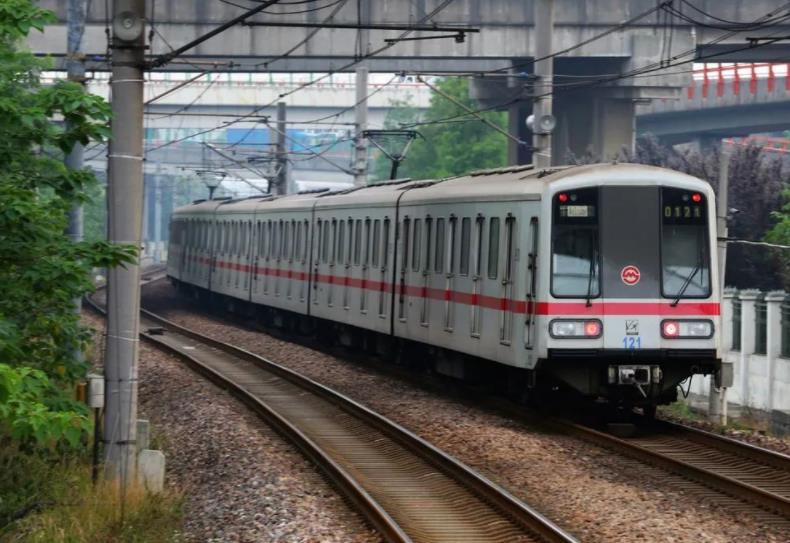 袋鼠安家 袋鼠安家