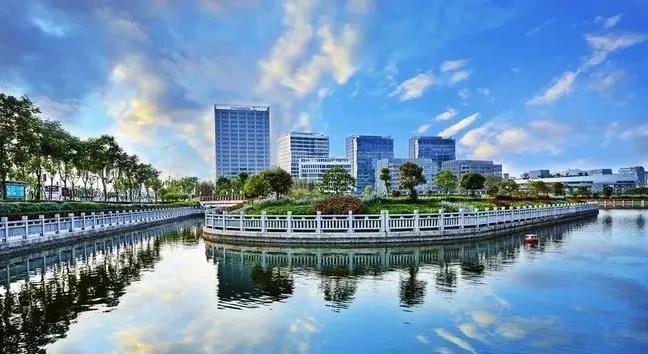 袋鼠安家 袋鼠安家