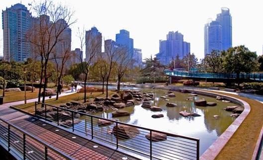 袋鼠安家 袋鼠安家