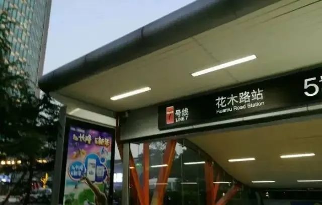 63bbdacaa9eed.jpg 24.jpg