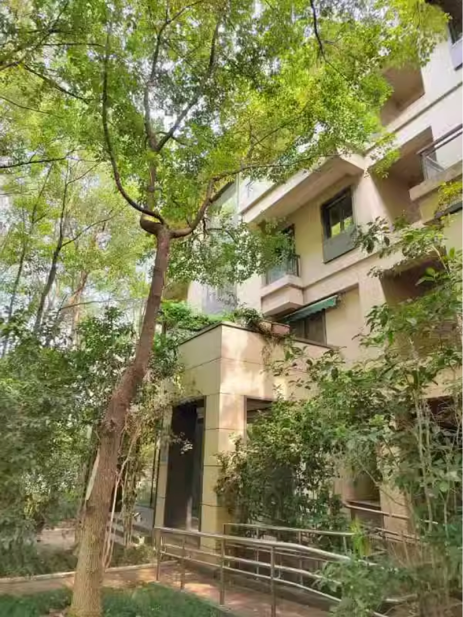 64be3e1c01e8d.png 5.png