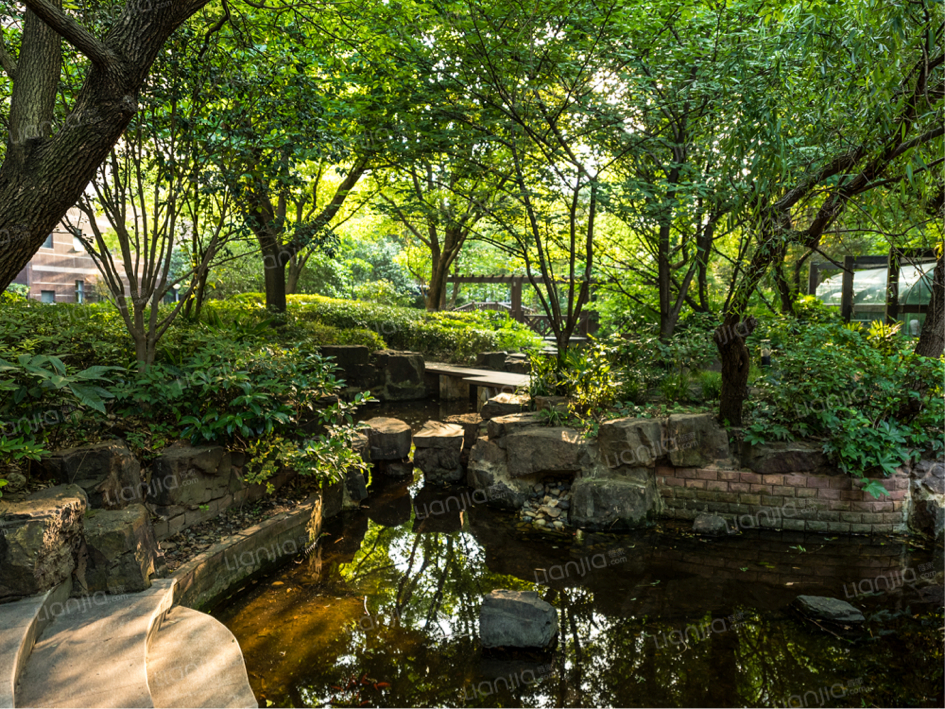 64be4106b13a0.png 13.png